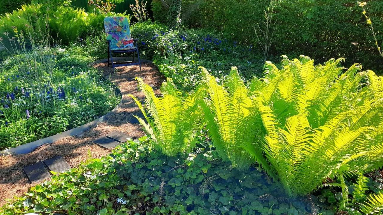 Mitten Im Seenland Und Spreewaldnah, Schoener Garten Storkow  Buitenkant foto