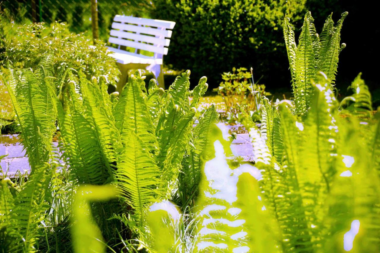 Mitten Im Seenland Und Spreewaldnah, Schoener Garten Storkow  Buitenkant foto
