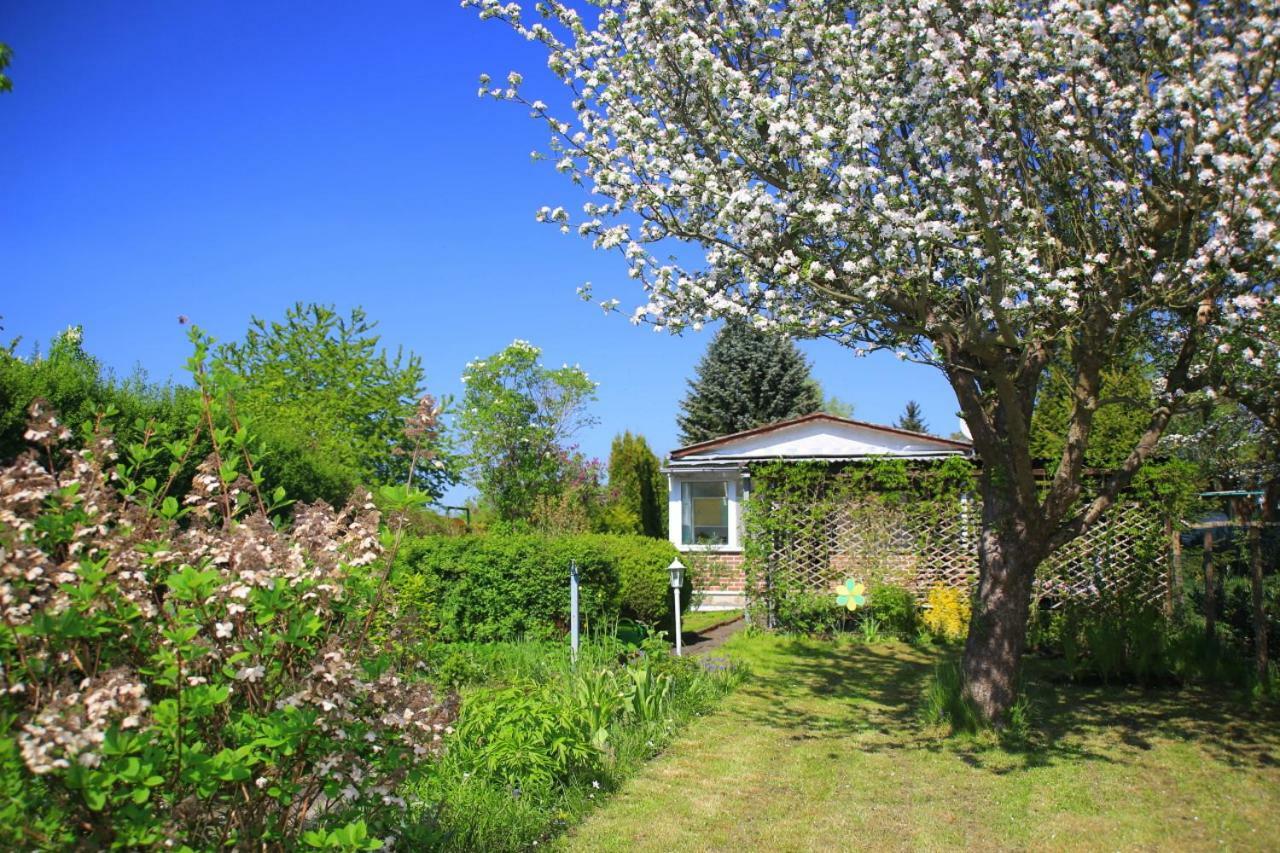 Mitten Im Seenland Und Spreewaldnah, Schoener Garten Storkow  Buitenkant foto